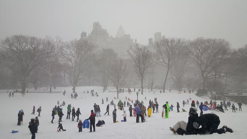 The Conservatory Gardens, New York