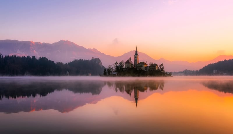 Whimsical Wonderland